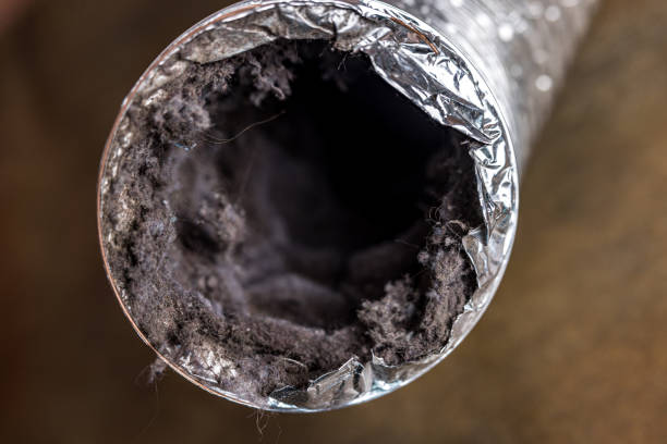Best HVAC Air Duct Cleaning  in Jefferson, IA